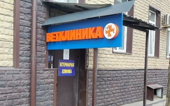 «Веда» в Хамовниках